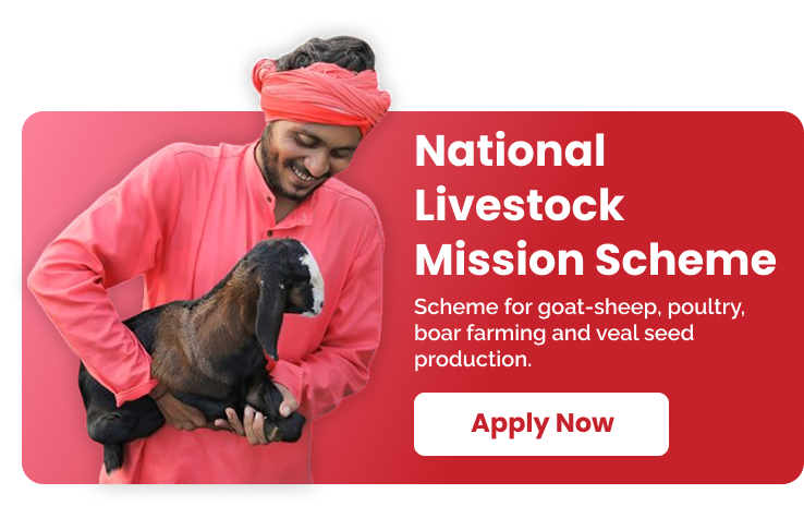 National Livestock Mission Scheme -1
